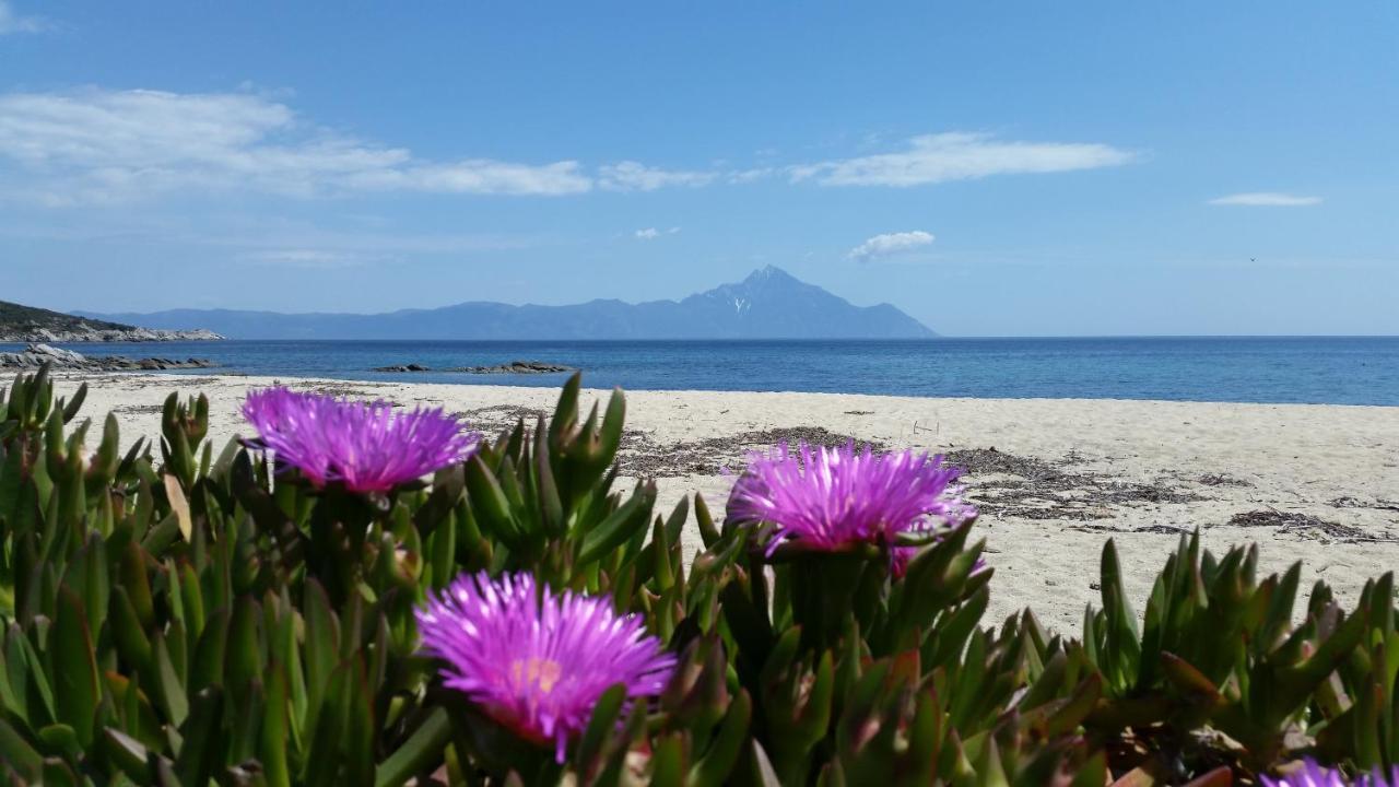Villa Maria Sarti Buitenkant foto